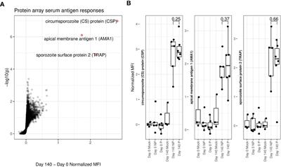 Frontiers Longitudinal Immune Profiling After Radiation Attenuated